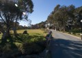 0110-1005 Thredbo (1106032)